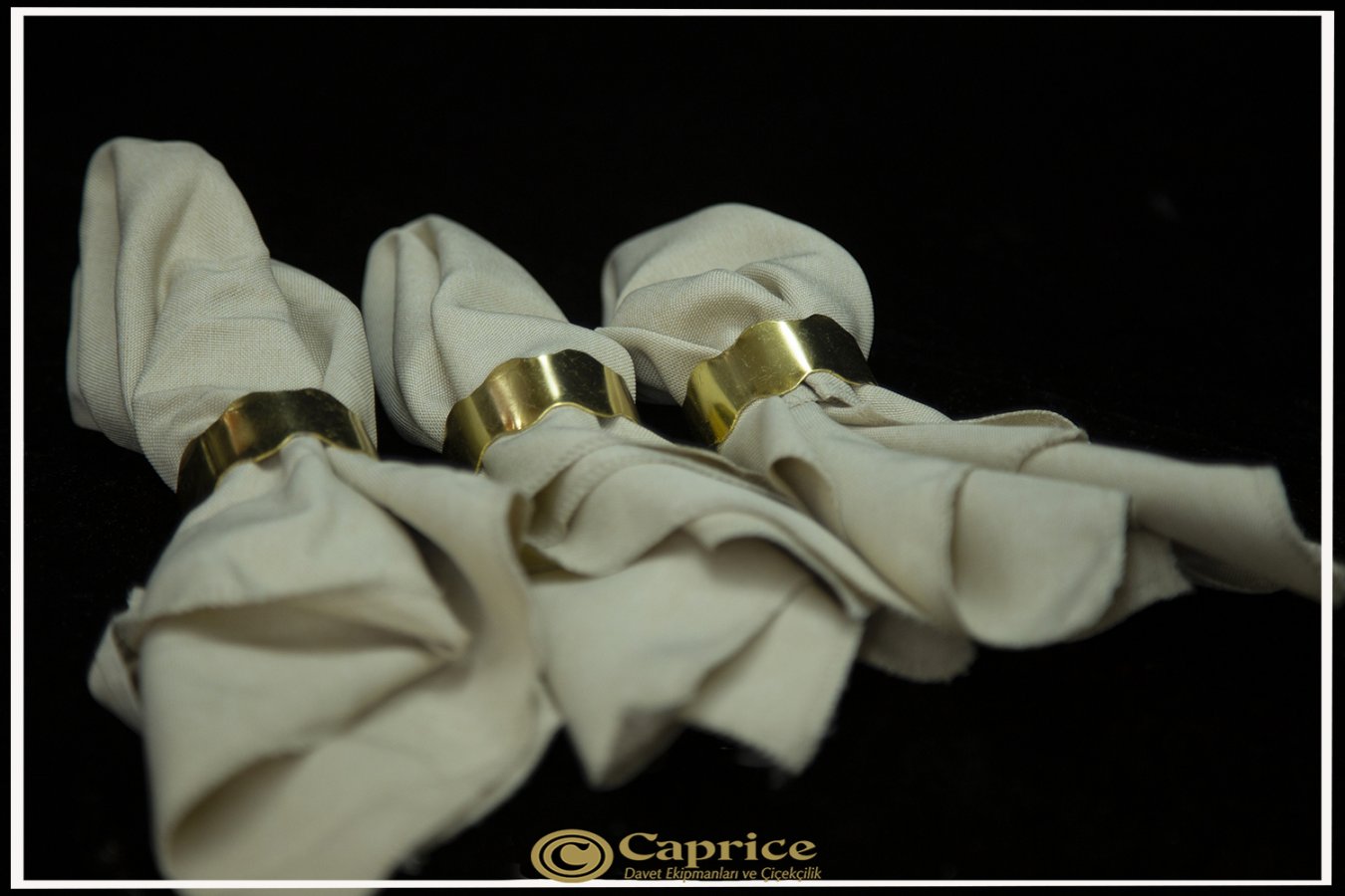 Peçetelik Modelleri CO2