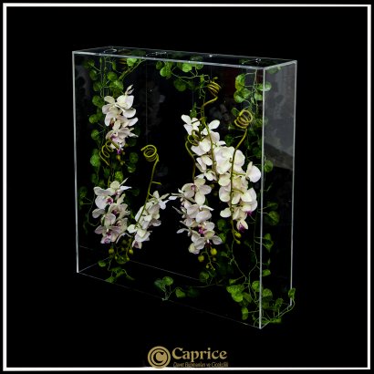 Gelinyolu Modelleri CO1