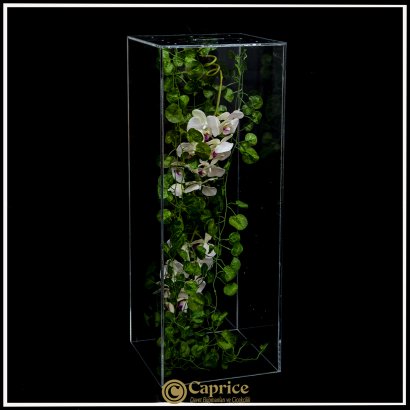 Gelinyolu Modelleri CO6