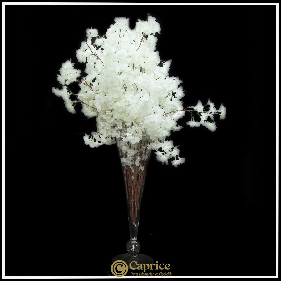 Cam Davet Vazoları CO19